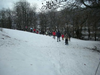  Las laderas acondicionadas del valle de Sturia 